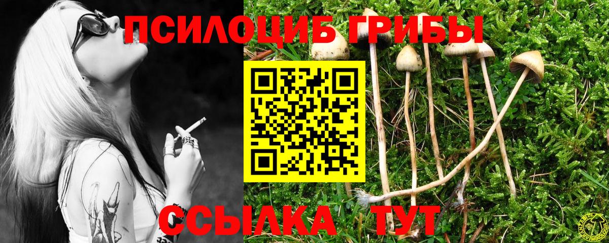 Псилоцибиновые грибы Cubensis  Вход с VPN  Кушва 